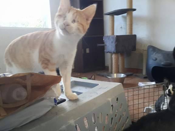 Transport aangekomen bij Santuario Refugio La Pepa 18308610