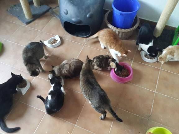 Transport aangekomen bij Santuario Refugio La Pepa 18336610