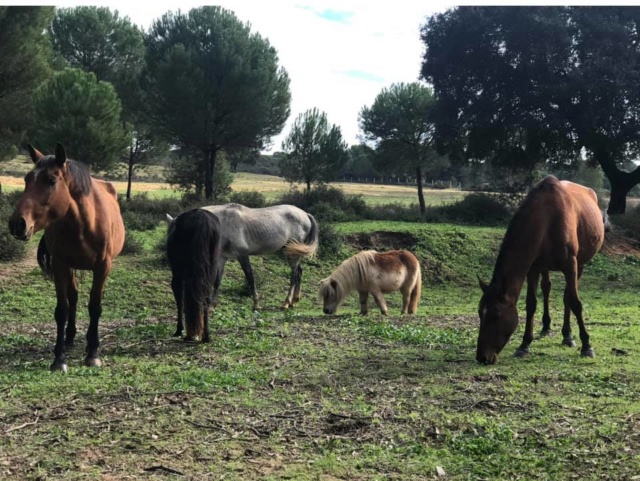 Refugio La Candela in grote problemen  A13