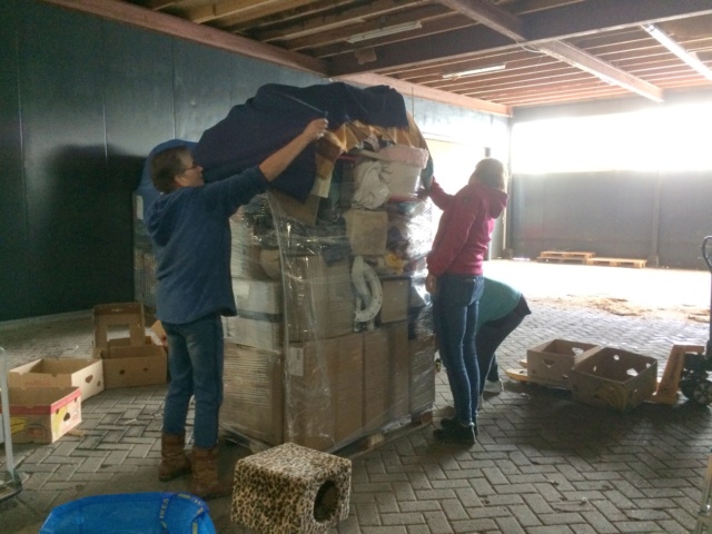 Opbouwen pallets Img_3641