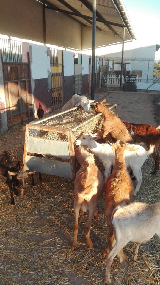 Refugio La Candela in grote problemen  L10