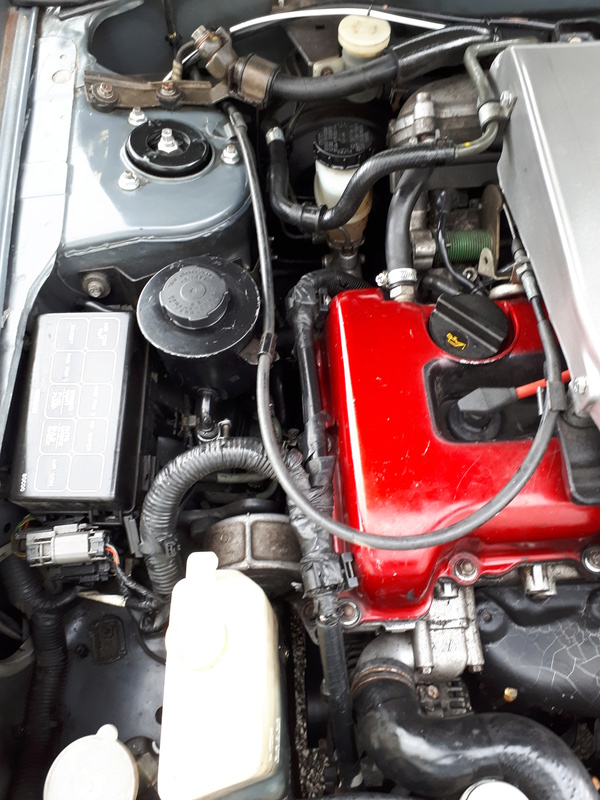 Engine bay QUICK freshen 20170613