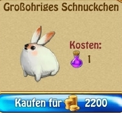  Großohriges Schnuckchen Kauf_s10