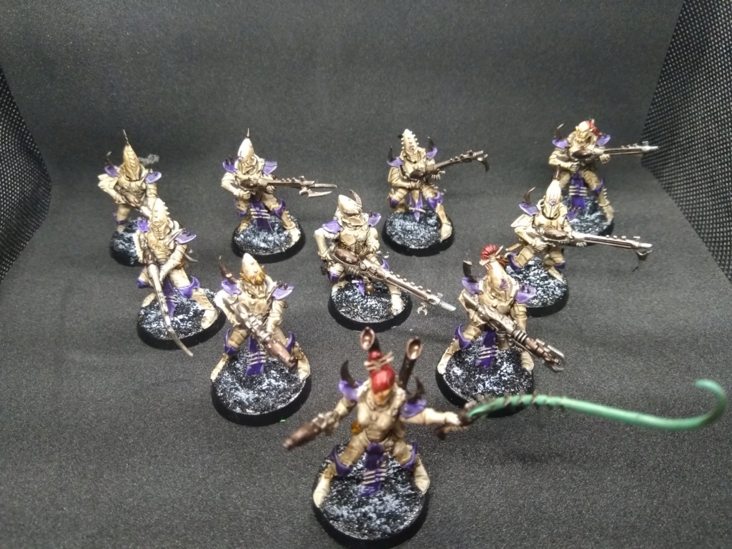 [fini][samegave/Drukhari] 10 kabalites (108 pts) Img_2492