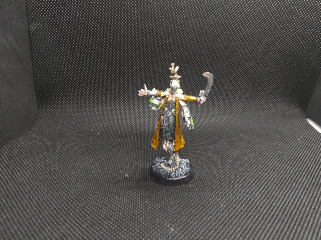 [fini][samegave/Drukhari] haemonculus (81) Img_2547