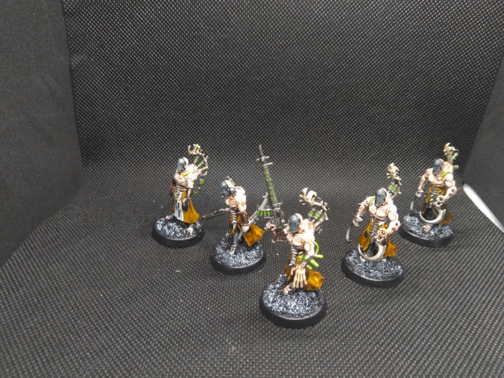 [fini][samegave/Drukhari] 5 wracks (50) Img_2559