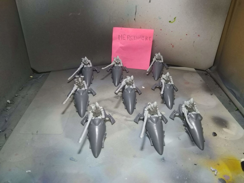 [fini][samegave/Craftworlds] 9 shining spears (306 pts) Img_2579