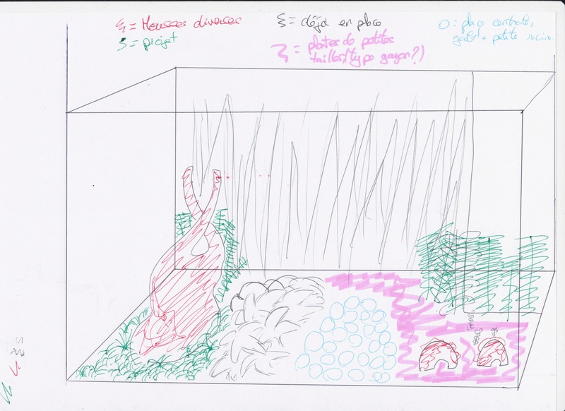 Mes projets 35 et 180l !^^ - Page 8 Image_10