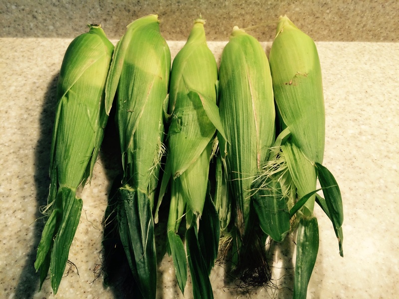 2017 corn pictures Corn_020