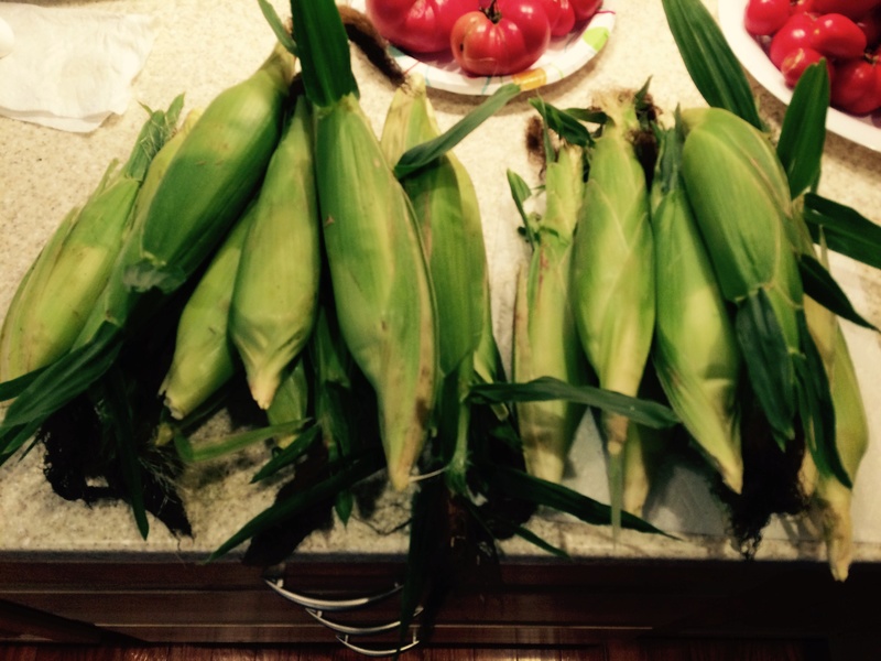 2017 corn pictures Corn_111