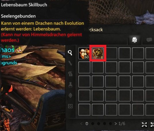 Guide Drachen Evoskills 00611