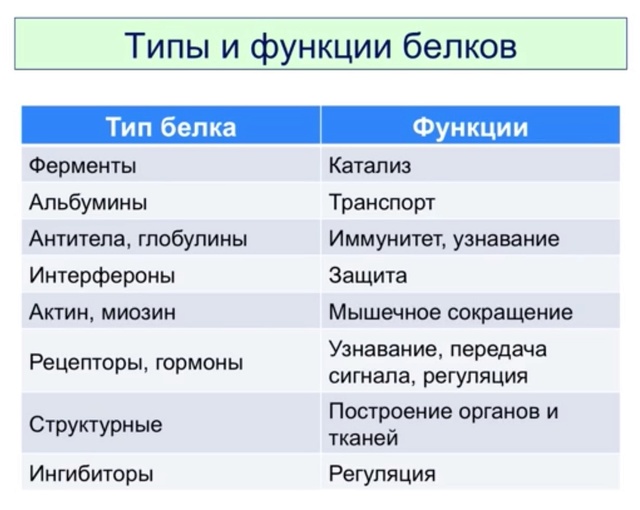 Пин на доске біологія в 2024 г Научные плакаты, Уроки биологии, Биология