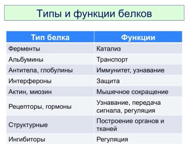 Назвать типы ролей. Типы белков и их функции. Тип белка и функции. Виды белков в организме человека. Виды белков и примеры.