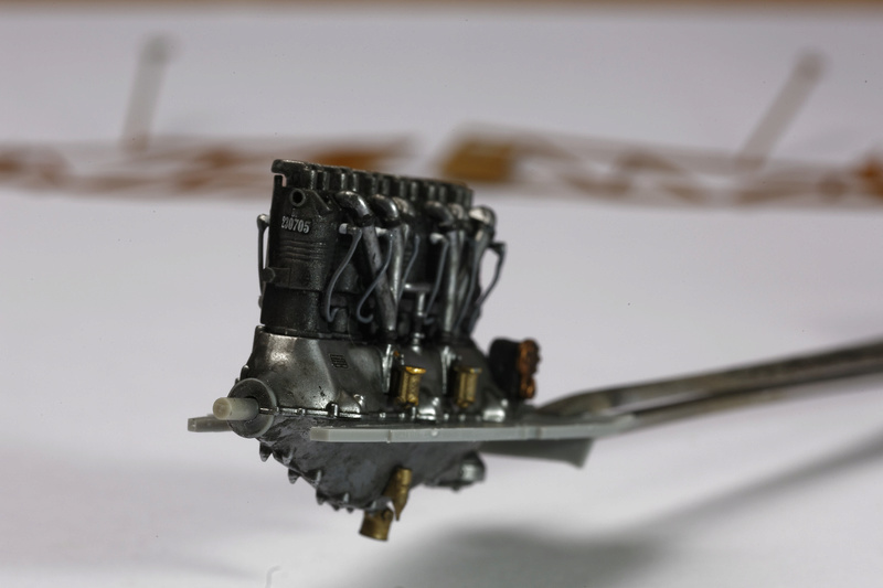 WINGNUT WINGS Hansa-brandenburg W.12 early 1/32 _ano5531