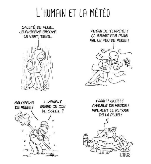 images humour  - Page 29 A8db6710