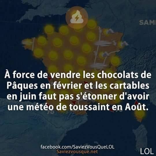 images humour  - Page 29 Fe337010