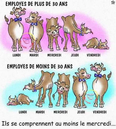 images humour  - Page 30 Mdn1ri10