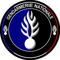 Candidature Gendarme Logo-g10