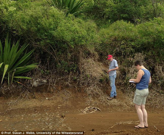 Discover the Lost Continent 3000 million years old in the Indian Ocean.  Maurit20