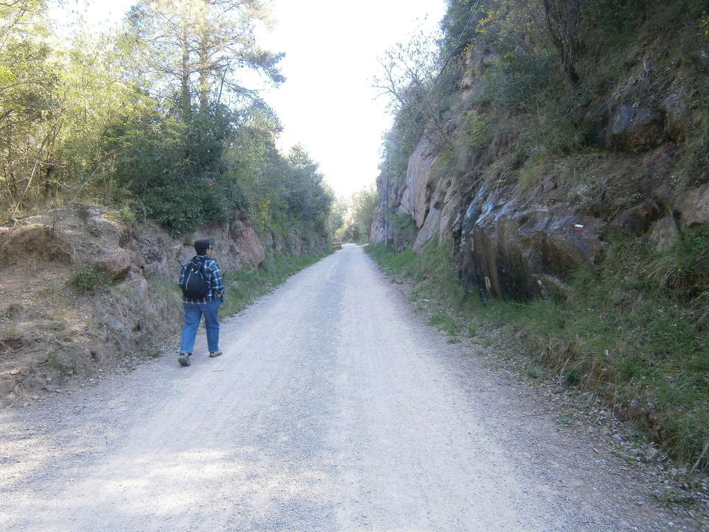 Via verda del Llobregat-Arqueologia ferroviària  entre Cal Rosal i la Presa de la Baells. P4140114