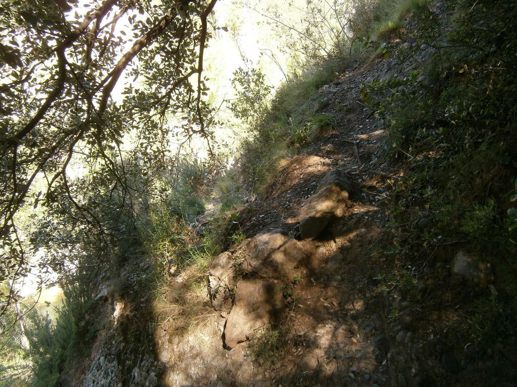 Via verda del Llobregat-Arqueologia ferroviària  entre Cal Rosal i la Presa de la Baells. P4220025