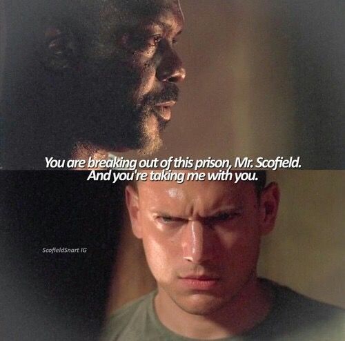 Prison Break/ციხიდან გაქცევა C7c3zu10