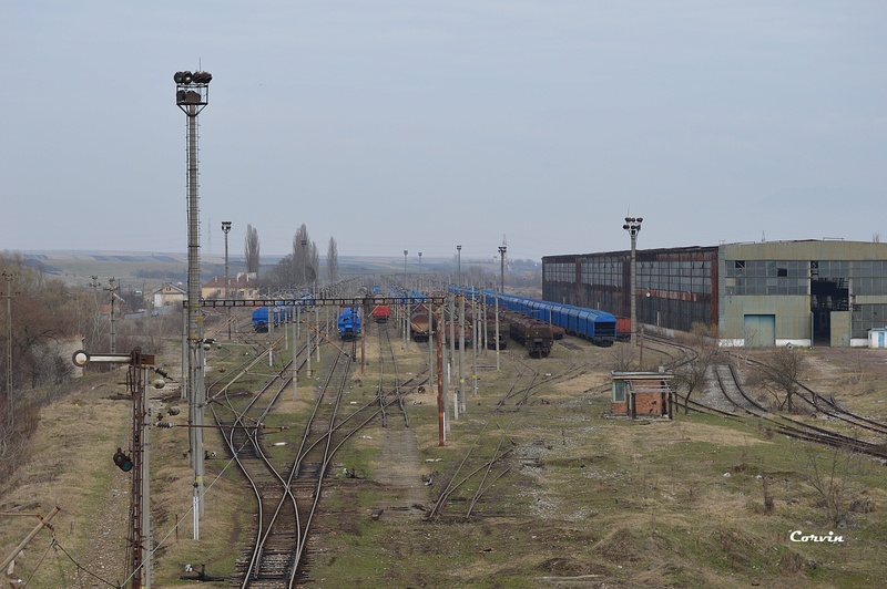 Zona stației Peștiș Marfă-Hunedoara Dsc_0343