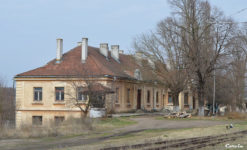 Zona stației Peștiș Marfă-Hunedoara Dsc_0372