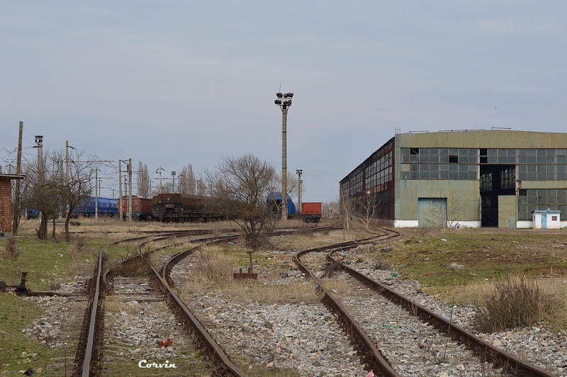 Zona stației Peștiș Marfă-Hunedoara Dsc_0375