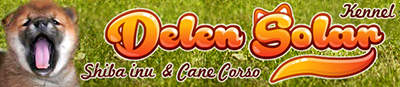 DEMISHSTAR TENRIKI Solar_10