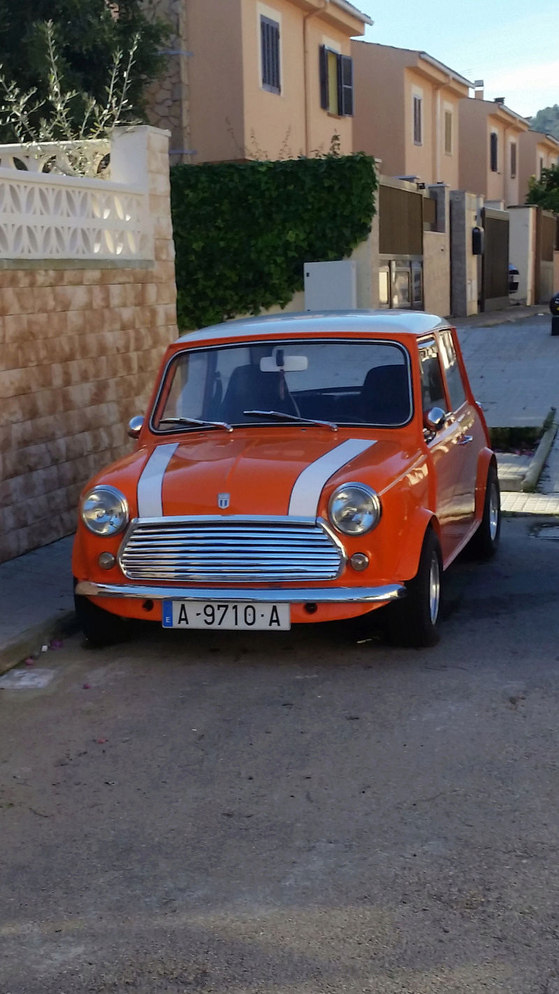 Nouveau dans le monde des minis
