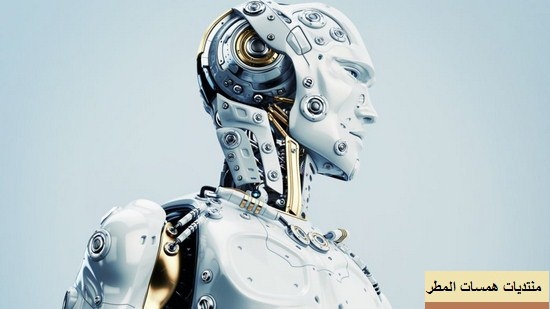  ما هو الروبوت , ماهى مميزات وعيوب الانسان الالى ؟  Oa11