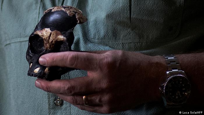 «Homo naledi», una nueva especie de homínido con rasgos de Australopithecus. [Historia] 59738111