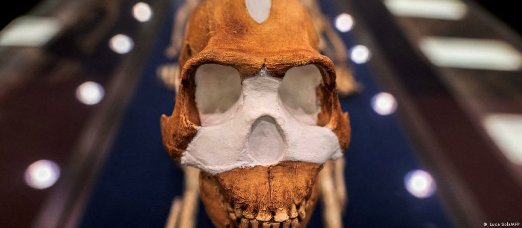 «Homo naledi», una nueva especie de homínido con rasgos de Australopithecus. [Historia] 65844310