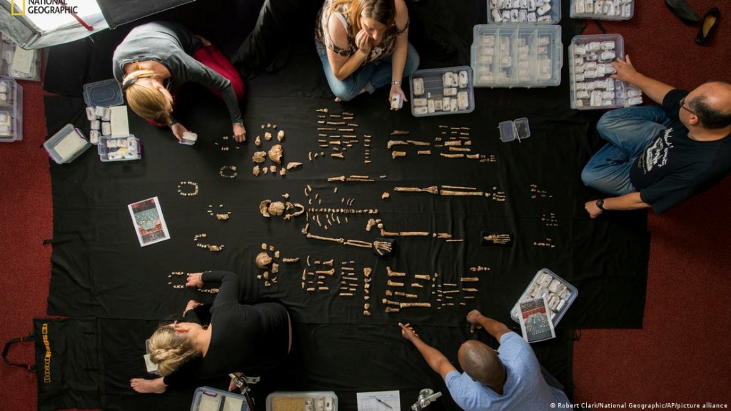 «Homo naledi», una nueva especie de homínido con rasgos de Australopithecus. [Historia] 65844410