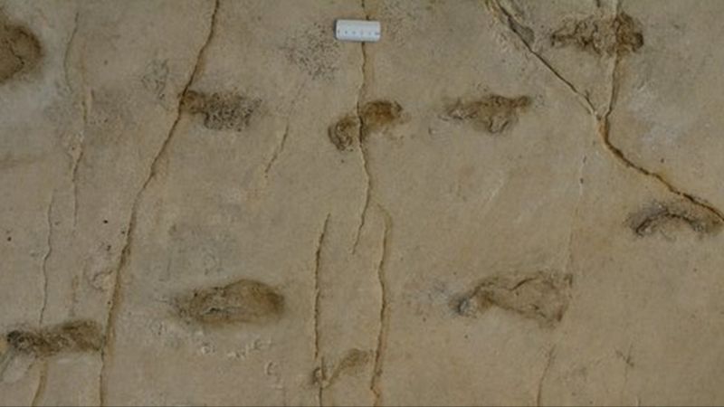 Huellas prehumanas halladas en Grecia podrían ser las más antiguas jamás descubiertas. _1211310