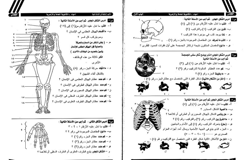 مراجعة تفصيلية  لمادة  الأحياء  للثانوية العامة 2017 Ay10