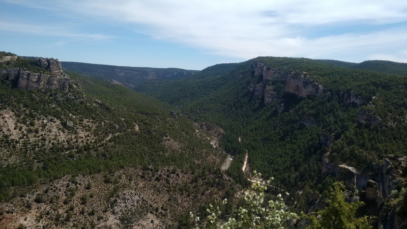ALTO TAJO - Página 3 Img_2044