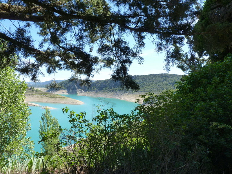 Salida 20 de mayo por los pantanos de la cabecera del Tajo - Página 4 P1050217