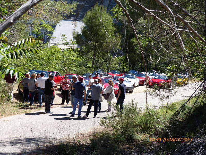 Salida 20 de mayo por los pantanos de la cabecera del Tajo - Página 5 P1010110