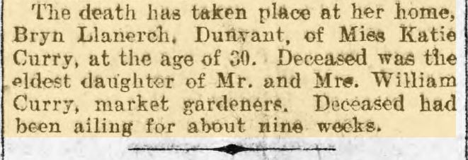Curry Family of Dunvant Oct_1911