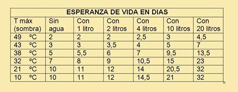 La Isla. 18620110