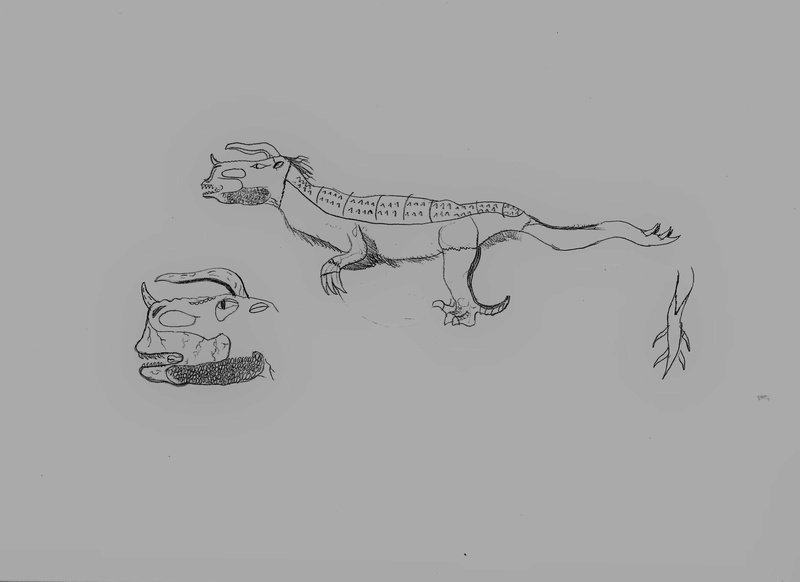 spinosaurus - El rincón de Spino Maro I_rex_10