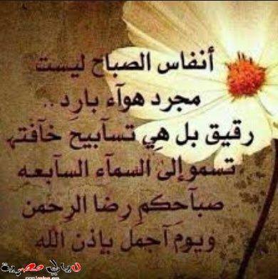 همسه من القلب 18492810