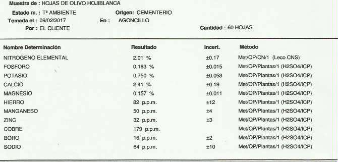 Análisis foliar AMZ Logroño (La Rioja) Cement11