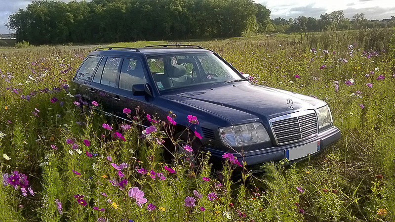 Nouveau venu E250d10