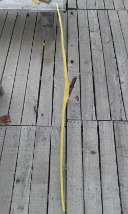 Arquito de maclura Thumbn10