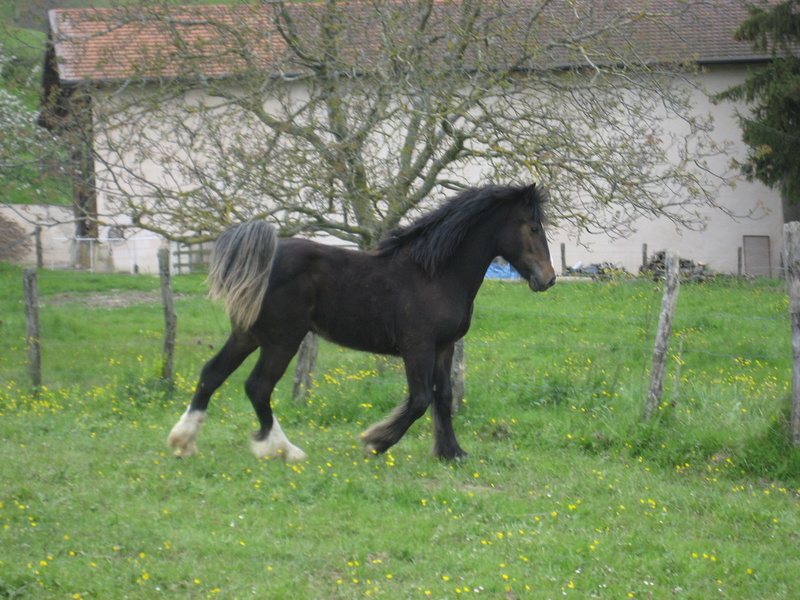 Ne pas laisser passer sa chance Img_0418
