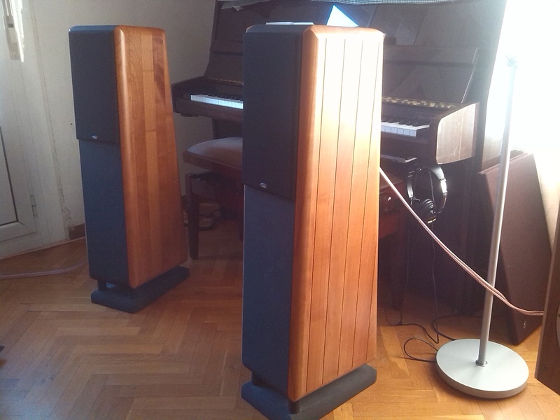 Amplificador para Chario Pegasus Chario10