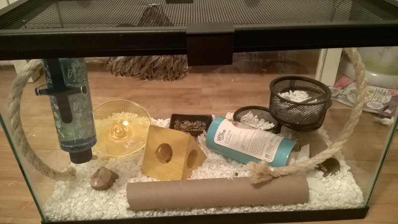 First time owner cage setup advice Prosho12